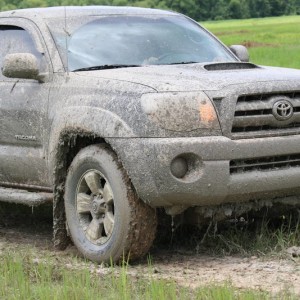 Dirty Truck