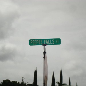 peepee falls