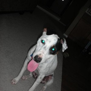 Murphy