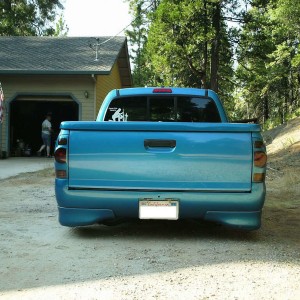 lenie's X with rollpan