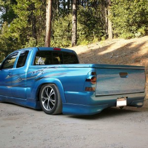 lenie's X with rollpan