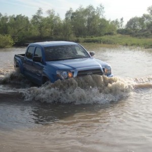 bvorr 2009