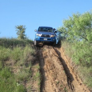 bvorr 2009