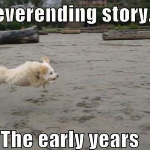 funny photos