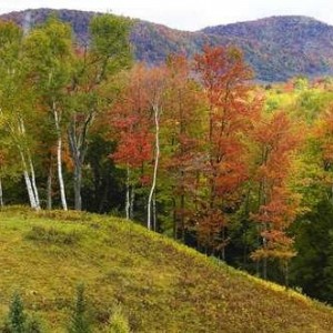 Fall Colors VT