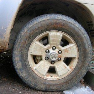 DSCN1993