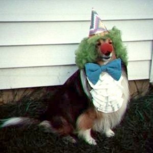 Dogclown