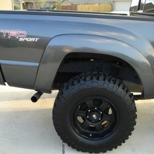 BFGs_procomps_003
