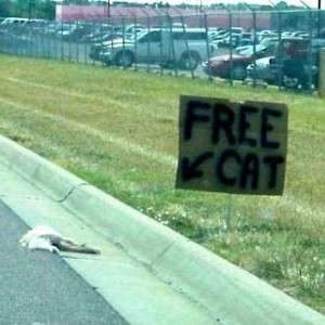 Freecat