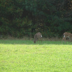 fall_09_002