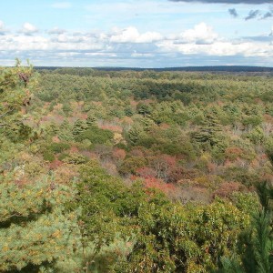 fall_09_005