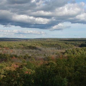 fall_09_006