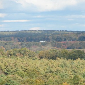 fall_09_007