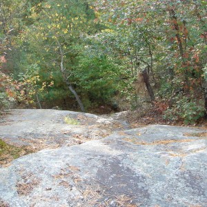 fall_09_009