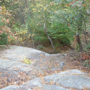 fall_09_010
