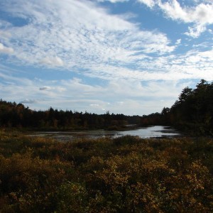 fall_09_0111