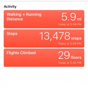 Dune Hike Stats