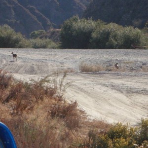 Azusa 10-10-09