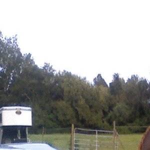 My horse and truck