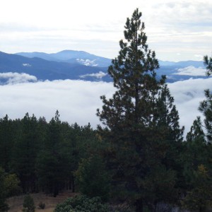 Elk Mtn Run 09