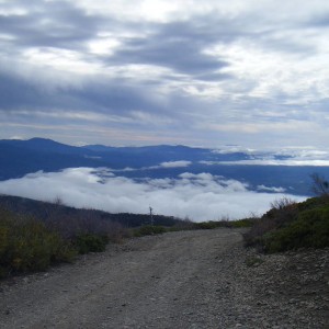Elk Mtn Run 09