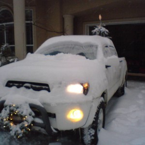 white trd
