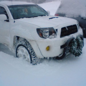 white trd