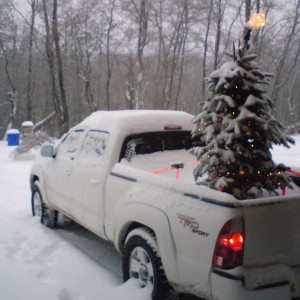 white trd