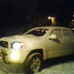 white trd