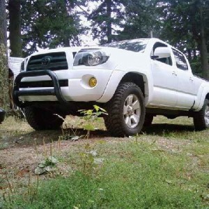 white trd