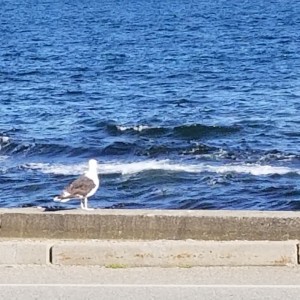 Brenton Point Park. Newport, RI