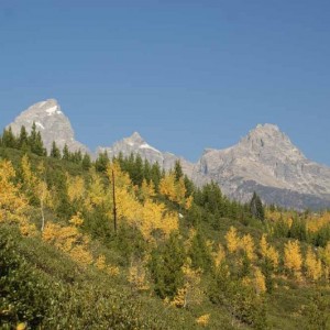 Fall in Teton NP