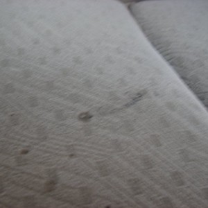 Driver's seat blemish 2