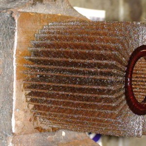 DSC004052
