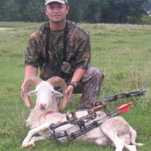 TEXAS DALL