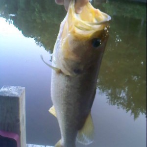 large mouth