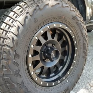 Falkens