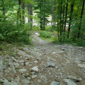 DSCN2129