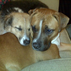 Lexi and Laila
