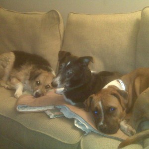 Lexi, Lotus, Laila