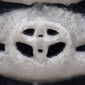 ICED EMBLEM