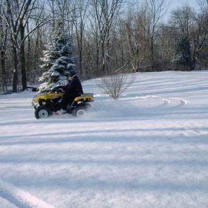 Picture_139