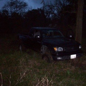 Stuck in Mom's Pasture