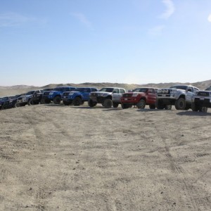 Ocotillo