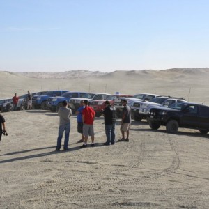 Ocotillo