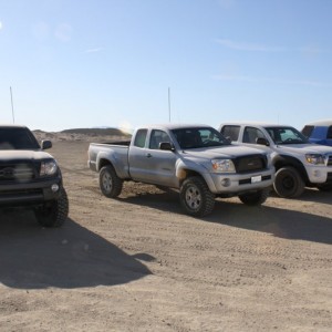 Ocotillo