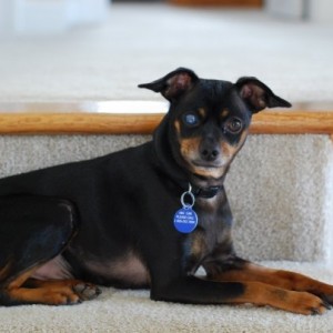 Carlos