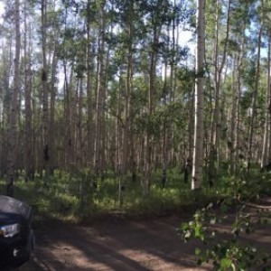 AEB0BD68-24A0-4AA6-B30C-4605B91D5633