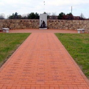 DSC02553
