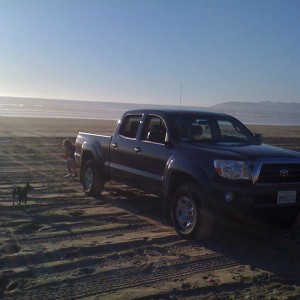 Taco on the beach